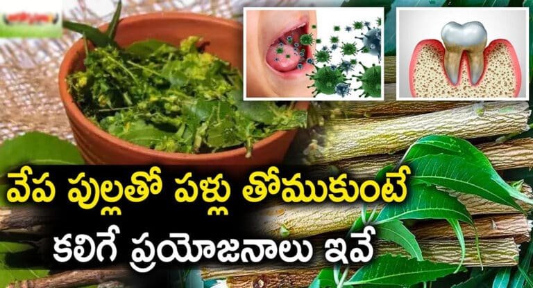 Neem Stick : వేప పుల్లతో పళ్ళు తోముకుంటే ఎటువంటి ప్రయోజనాలు కలుగుతాయో తెలుసా ..!