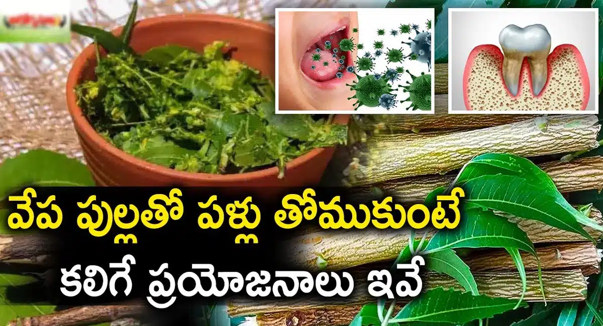 Neem Stick : వేప పుల్లతో పళ్ళు తోముకుంటే ఎటువంటి ప్రయోజనాలు కలుగుతాయో తెలుసా ..!