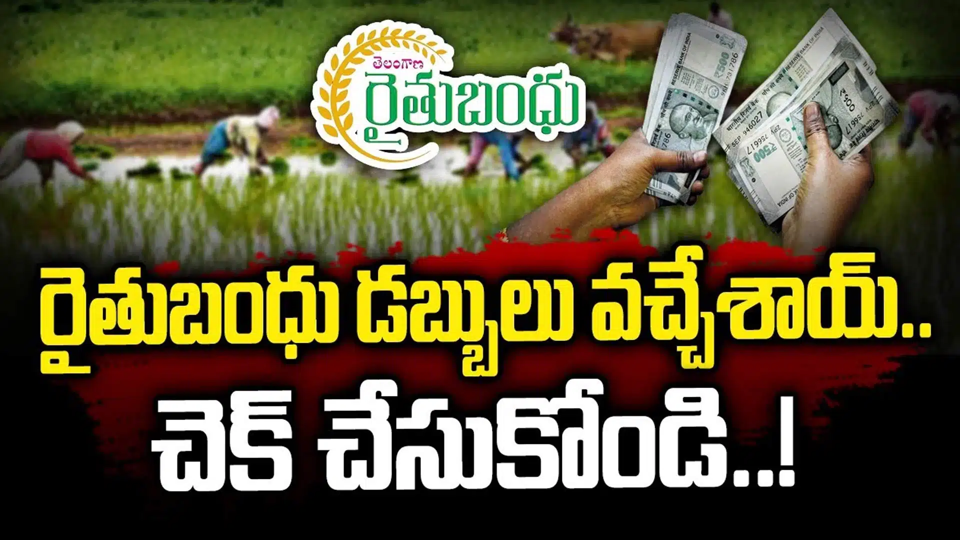 Rythu Bandhu : రైతులకు గుడ్ న్యూస్.. రైతుబంధు డబ్బులు వచ్చేశాయ్...చెక్ చేసుకోండి..!
