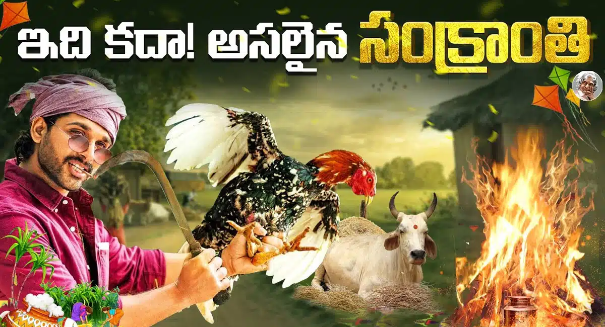 Sankranti Festival : సంక్రాంతి చరిత్ర ఏమిటి.? అసలు ఎలా మొదలైందో తెలుసా..?