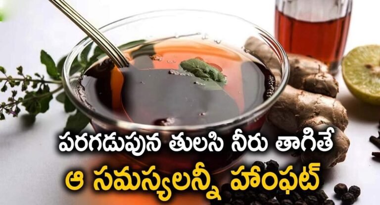 Tulasi Drink : పరిగడుపున తులసి నీరు తాగితే ఆ సమస్యలన్నీ మటాష్…!