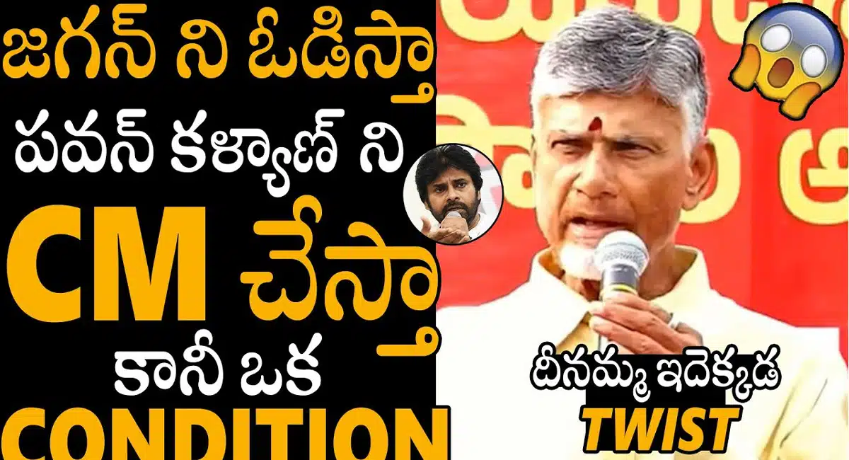 Chandrababu Naidu : జగన్ ని ఓడిస్తా.. పవన్ కళ్యాణ్ ని సీఎం చేస్తా.. కానీ ఒక కండిషన్.. చంద్రబాబు నాయుడు..!