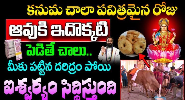 Sankranti Festival : కనుమ చాలా పవిత్రమైన రోజు.. ఆవుకి ఇదొక్కటి పెడితే చాలు.. దరిద్రం పోయి కోటీశ్వరులవుతారు..!!