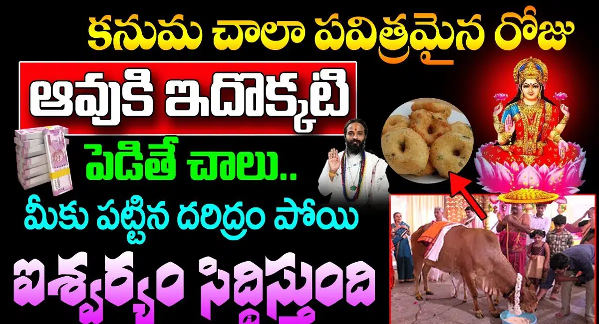 Sankranti Festival : కనుమ చాలా పవిత్రమైన రోజు.. ఆవుకి ఇదొక్కటి పెడితే చాలు.. దరిద్రం పోయి కోటీశ్వరులవుతారు..!!