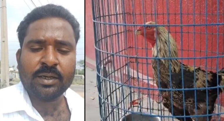 Viral News : సజ్జనార్ సార్ దయచేసి వేలాన్ని ఆపండి, ఆ కోడి నాదే ,