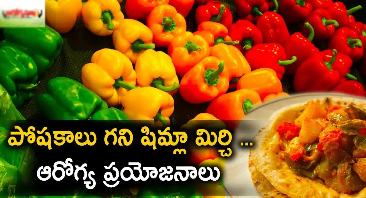 Shimla Mirchi : పోషకాల గని షిమ్లా మిర్చి.. దీంతో ఎన్ని ఆరోగ్య ప్రయోజనాలు ఉన్నాయో తెలిస్తే ఆశ్చర్యపోతారు...!
