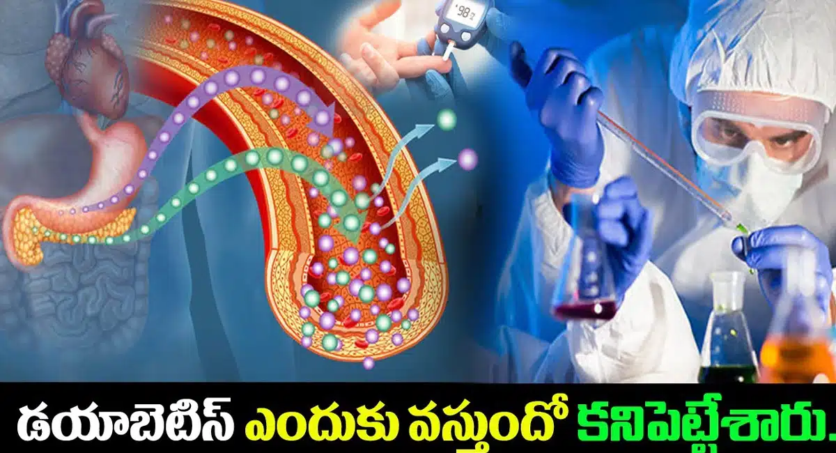 Diabetes patients : గుడ్ న్యూస్...డయాబెటిస్ ఎందుకు వస్తుందో కనిపెట్టేశారు..!!