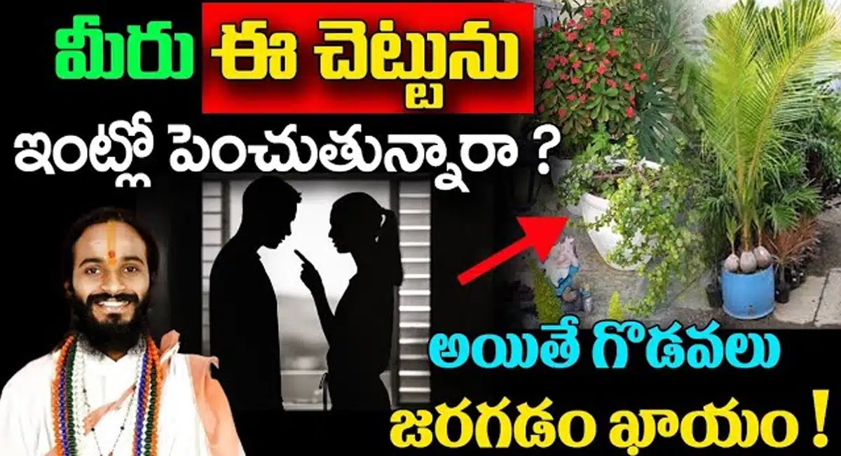 Plants Vastu Tips : మీరు ఈ చెట్టును ఇంట్లో పెంచుతున్నారా ? అయితే గొడవలు జరగటం ఖాయం...!