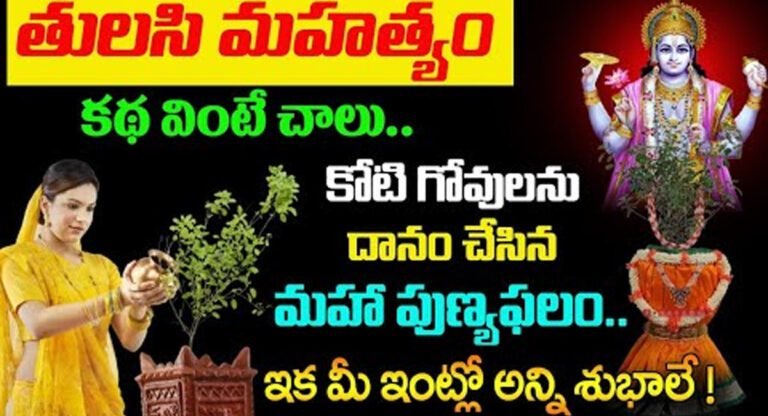 Tulasi Plant Mahatyam  : తులసి మహత్యం కథ వింటే చాలు… కోటి గోవులను దానం చేసిన మహా పుణ్యం లభిస్తుంది…