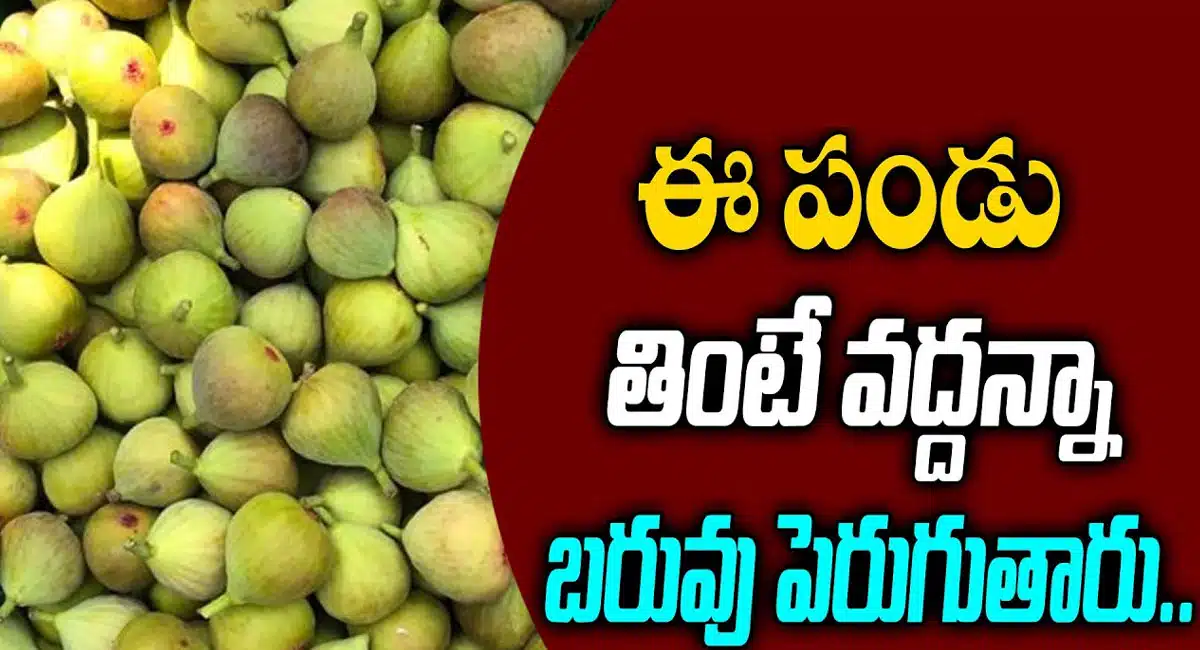 Anjeer Fruits : ఈ పండు తింటే వద్దన్నా బరువు పెరుగుతారు...!