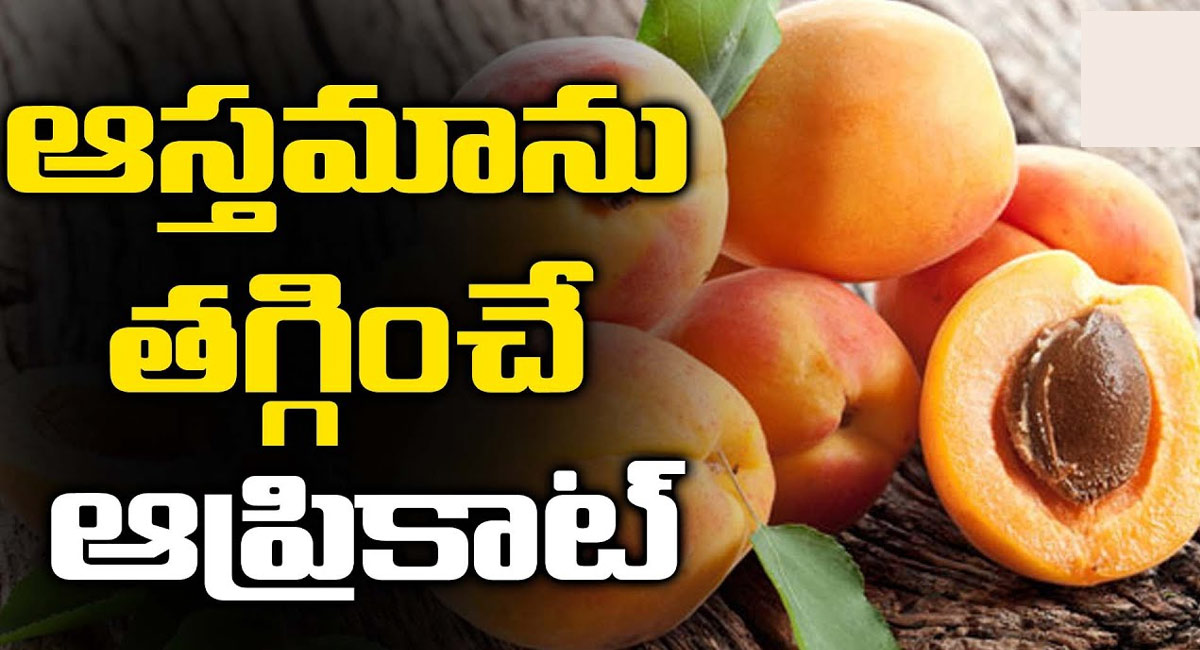 Apricot Fruit : ఆస్తమాను తగ్గించి అద్భుతమైన పండు ఇదే…!