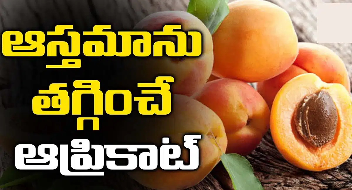 Apricot Fruit : ఆస్తమాను తగ్గించి అద్భుతమైన పండు ఇదే...!
