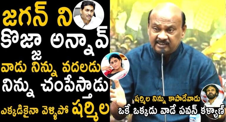 Ayyanna Patrudu : కొజ్జా అన్న వైయస్ షర్మిలను వైయస్ జగన్ చంపేస్తాడు – అయ్యన్న పాత్రుడు సంచలన వ్యాఖ్యలు..!