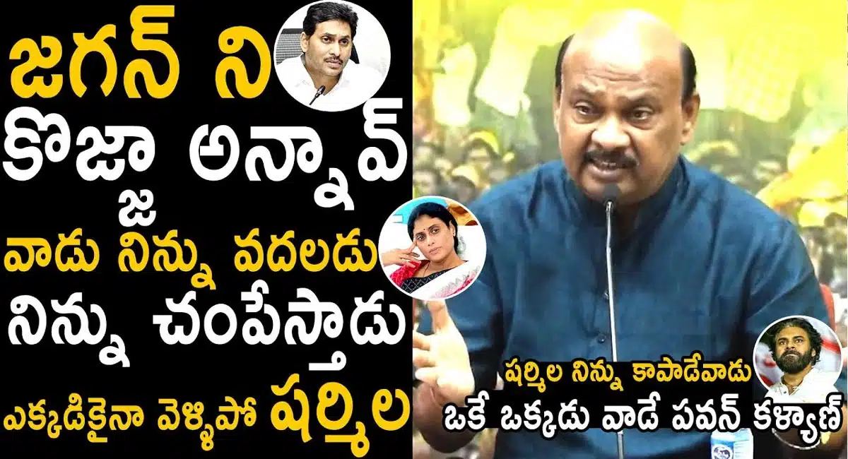 Ayyanna Patrudu : కొజ్జా అన్న వైయస్ షర్మిలను వైయస్ జగన్ చంపేస్తాడు - అయ్యన్న పాత్రుడు సంచలన వ్యాఖ్యలు..!