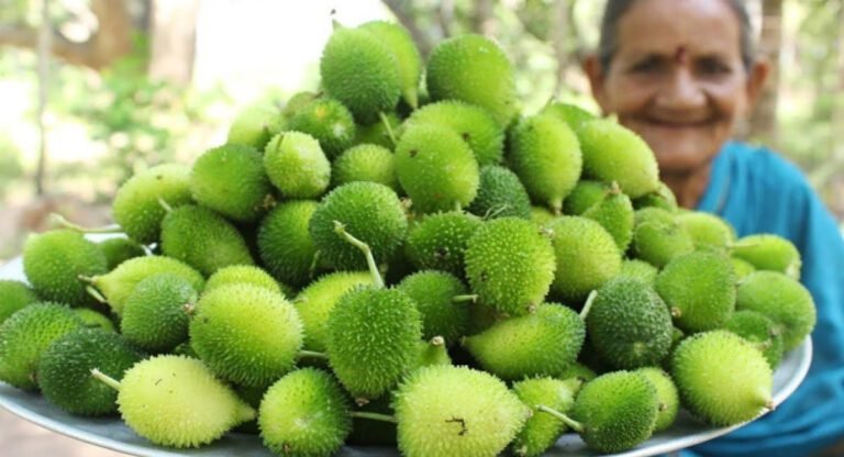Bitter Gourd  : గర్భధారణ సమయంలో బోడ కాకరకాయలను తీసుకుంటే ఏం జరుగుతుందో తెలుసా..?