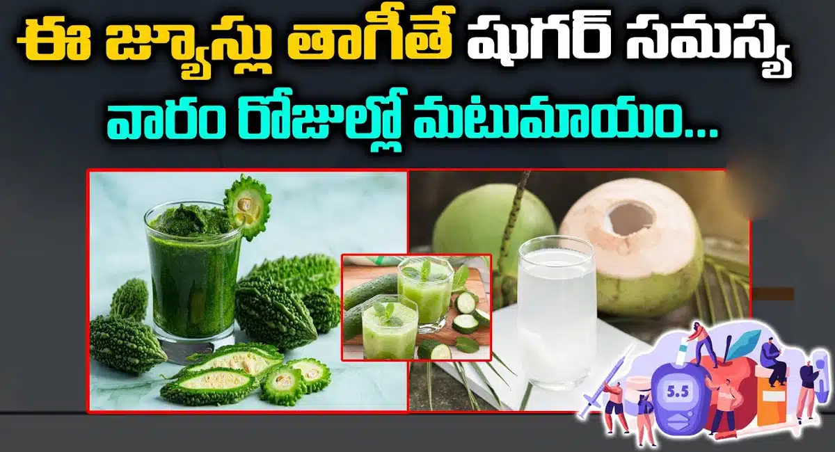 Diabetes : ఈ జ్యూస్ లు తాగితే షుగర్ సమస్య వారం రోజులలో మటుమాయం…