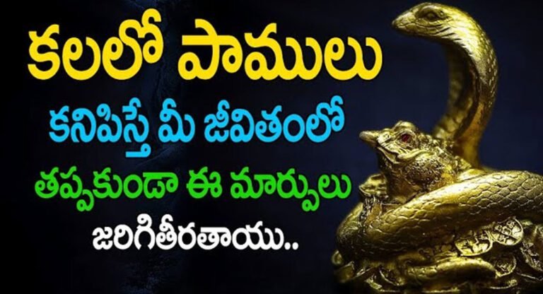 Dreams Facts : కలలో పాము లు కనిపిస్తే మీ జీవితంలో తప్పకుండా ఈ మార్పులు జరుగుతాయి..!