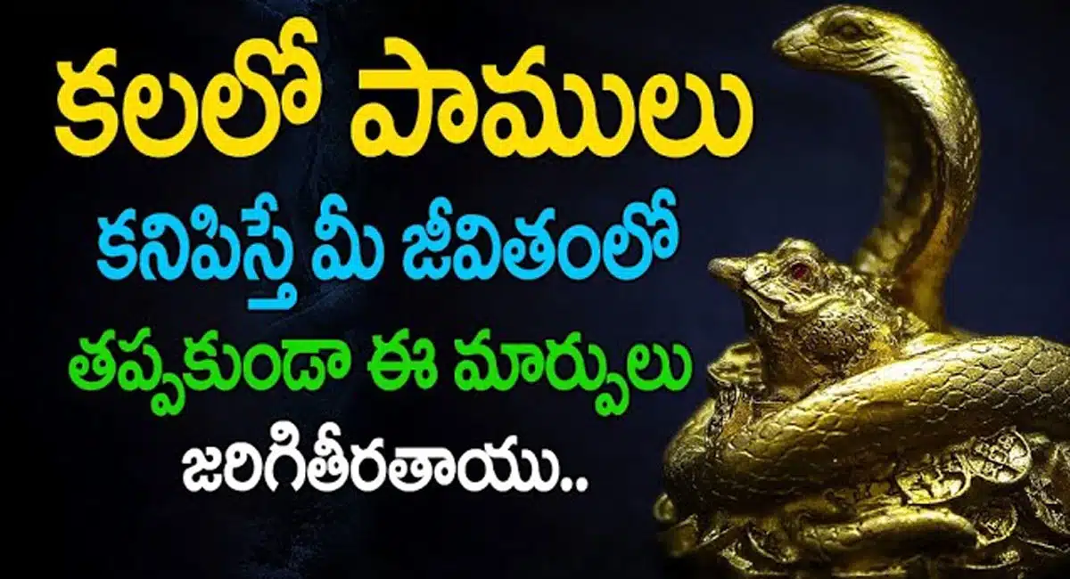 Dreams Facts : కలలో పాము లు కనిపిస్తే మీ జీవితంలో తప్పకుండా ఈ మార్పులు జరుగుతాయి..!
