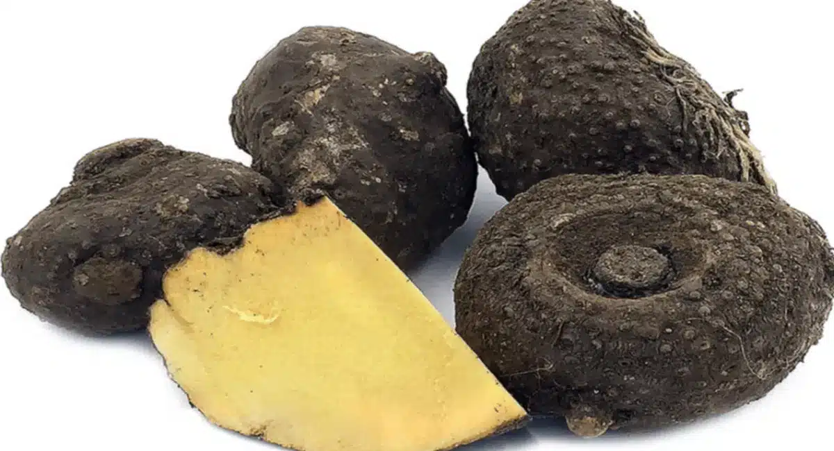 Elephant Yam : ఇమ్యూనిటీ బాగా పెరగాలా..? ఈ ఒక్క కూరగాయ తీసుకోండి చాలు... మరో 10 లాభాలు కూడా మీ సొంతం...!