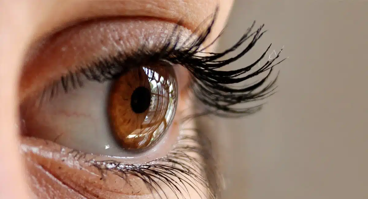 Eyesight : కంటి చూపు పెరగాలంటే వెంటనే ఇలా చేయండి చాలు...!
