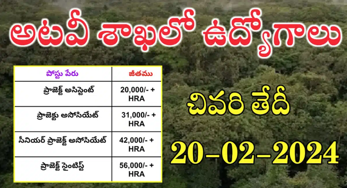 Forest Department : అటవీ శాఖలో భారీ ఉద్యోగాలు... ఫిబ్రవరి 20 లాస్ట్ డేట్‌..!