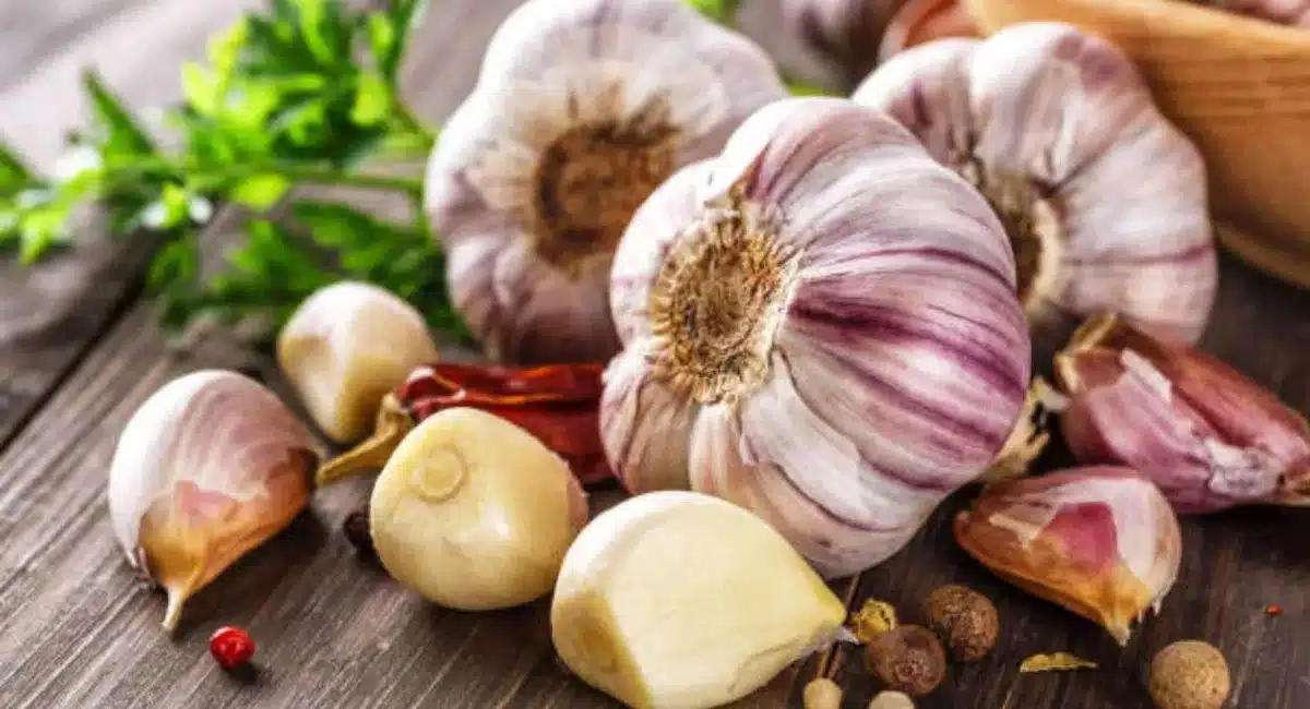 Garlic : జాగ్రత్త.. వెల్లుల్లి అధికంగా వాడుతున్నారా... అయితే ఈ విషయాలు తప్పక తెలుసుకోవాలి...!