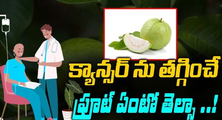 Guava : క్యాన్సర్ ను తగ్గించే ఫ్రూట్స్ ఏంటో తెలుసా..? తెలిస్తే ఆశ్చర్యపోతారు..!