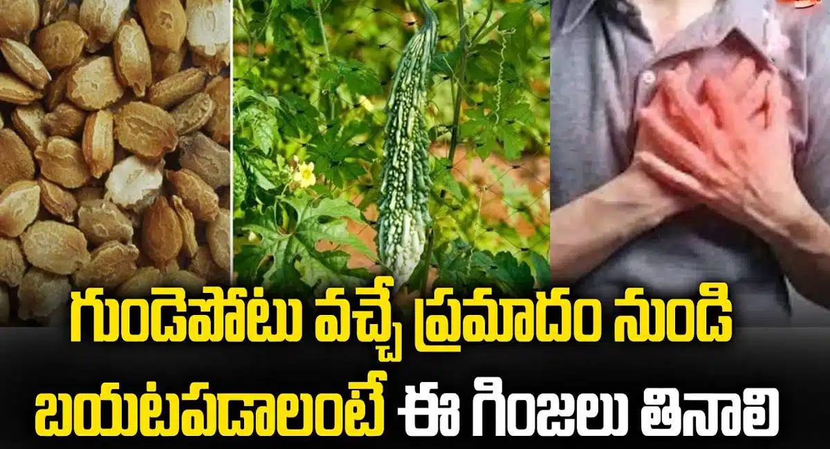 Heart Problems : గుండెపోటు వచ్చే ప్రమాదం నుండి బయట పడాలంటే ఈ గింజలు తప్పక తినాలి…!!