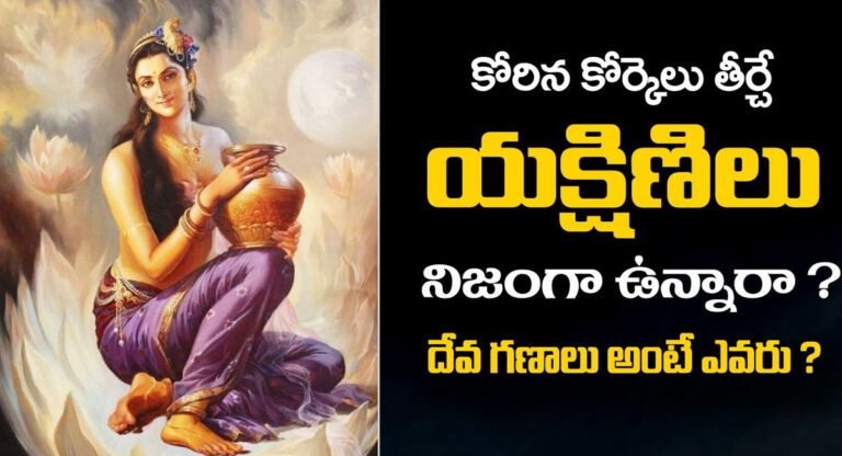 Hindu Mythology : కోరిన కోరికలు తీర్చే యక్షిణులు నిజంగా ఉన్నారా.? దేవగణాలు అంటే ఎవరు..?
