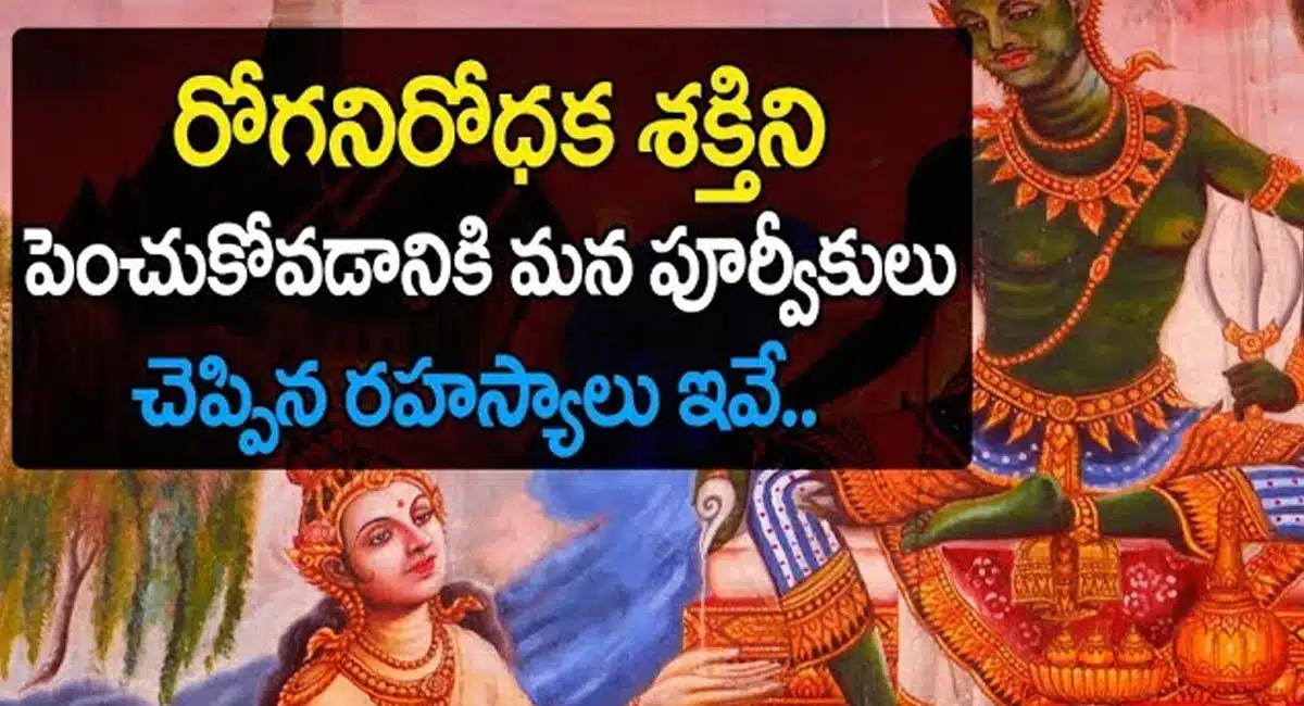 Immunity Power : రోక నిరోధక శక్తిని పెంచుకోవడానికి మన పూర్వీకులు చెప్పిన రహస్యాలు ఇవే...!
