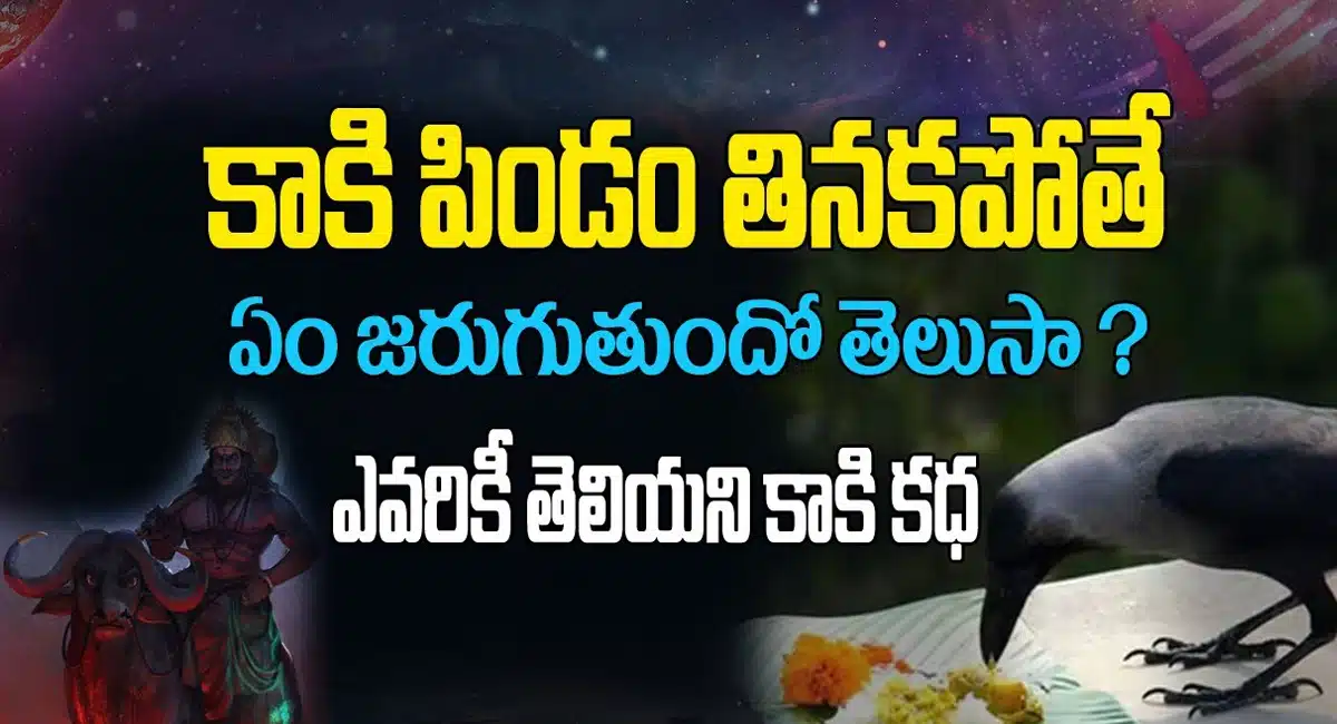 Kaki Pindam : కాకి పిండం తినకపోతే ఏం జరుగుతుందో తెలుసా..? ఎవరికి తెలియని కాకి కథ.!!