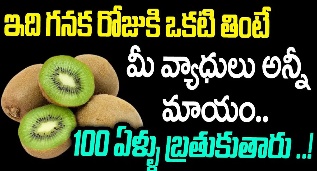 Kiwi Fruit : ఇది గనక రోజుకి ఒకటి తింటే మీ వ్యాధులన్నీ మాయం... 100 ఏళ్ళు బ్రతుకుతారు...!