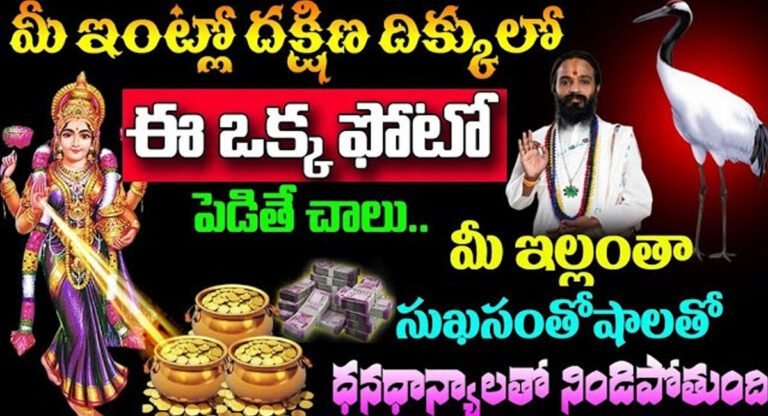 Lakshmi Devi kataksham : మీ ఇంట్లో దక్షిణ దిక్కులో ఈ ఒక్క ఫోటో పెడితే చాలు… మీరు కుబేరులవ్వడం ఖాయం…!
