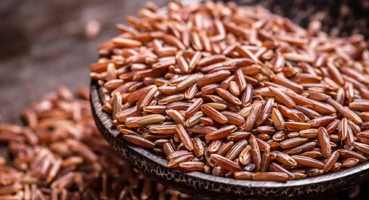 Navara Rice : ఈ రెడ్ రైస్ తో చరిత్రలోనే కనివిని ఎరగని అద్భుతం... ఇక ఆ సమస్యలకు చెక్ పెట్టినట్టే..!