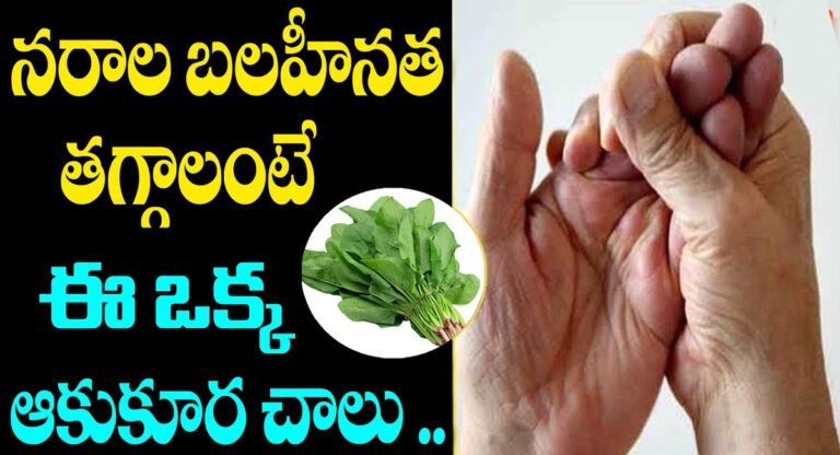 Nervous Weakness : నరాల బలహీనత తగ్గాలంటే ఈ ఒక్క ఆకుకూర చాలు…!