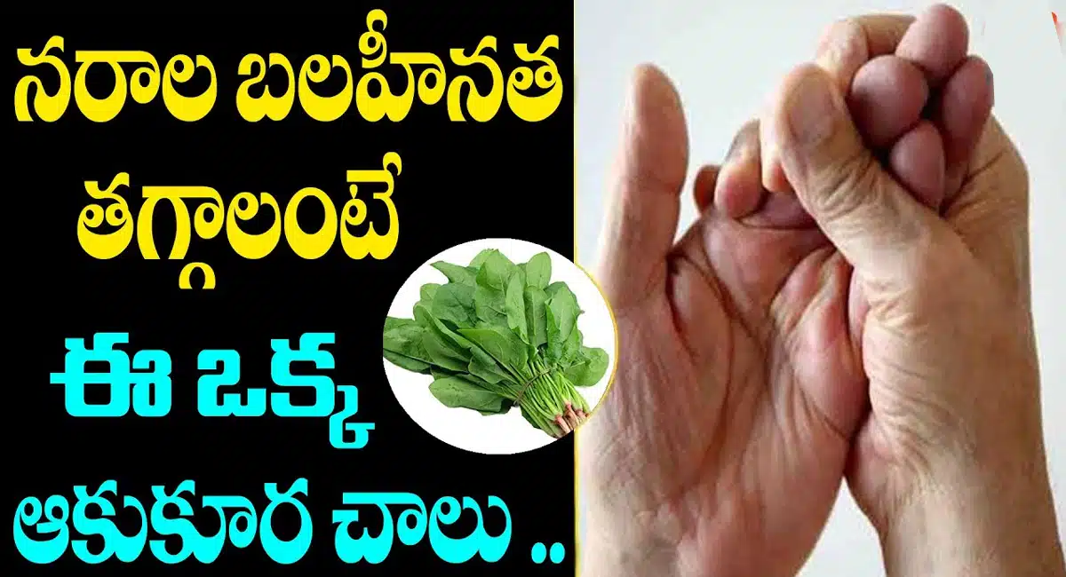 Nervous Weakness : నరాల బలహీనత తగ్గాలంటే ఈ ఒక్క ఆకుకూర చాలు...!