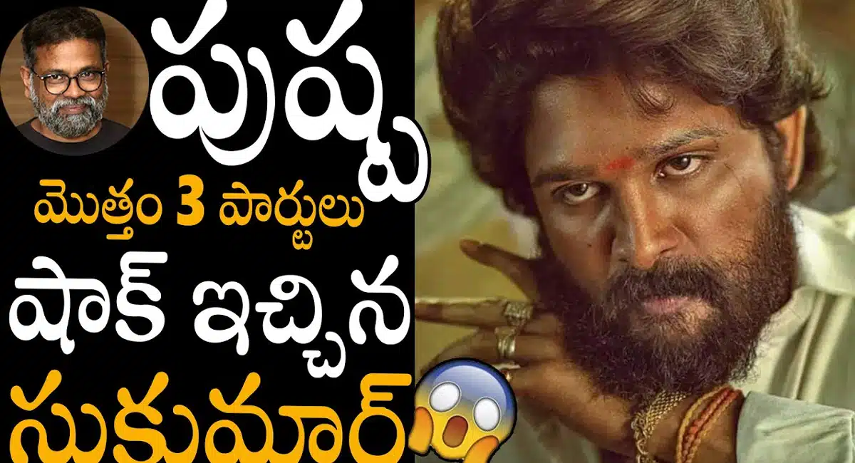 Pushpa Movie Part 3 : పుష్ప పార్ట్ 3 ఉందా... సుకుమార్ భయ్యా అసలు ఏం ప్లాన్ చేస్తున్నవు...!
