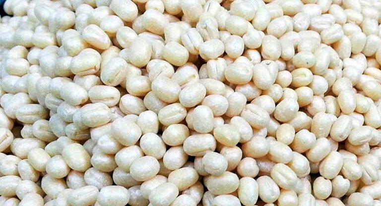Urad Dal : మినప్పప్పు తినే వాళ్ళు ఈ విషయాలు తప్పక తెలుసుకోవాలి…!