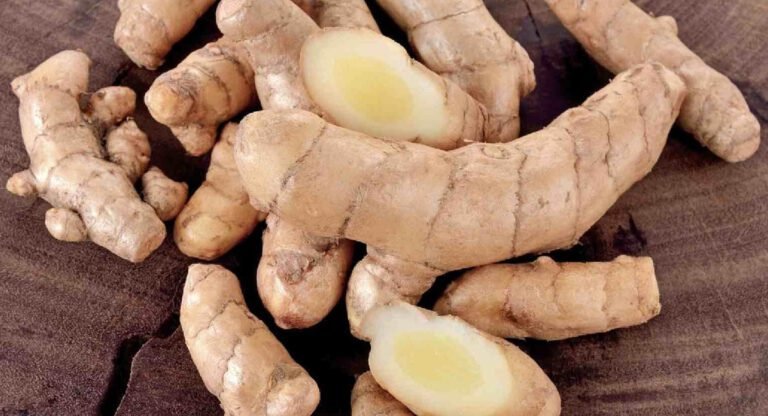 Health Benefits : మహిళలకు ఈ తెల్ల పసుపు తో బోలెడు ఆరోగ్య ప్రయోజనాలు…!!
