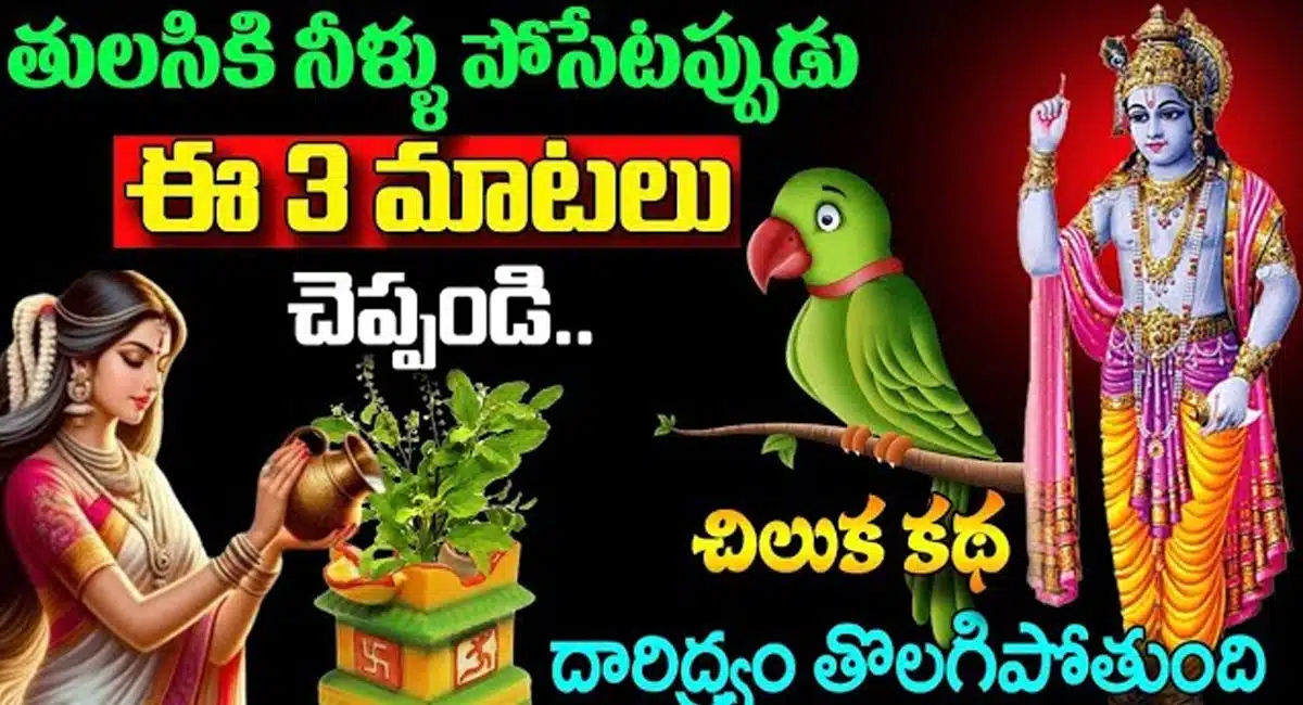 Tulisi Pooja : తులసికి నీళ్లు పోసేటప్పుడు ఈ మూడు మాటలు చెప్పండి.. దరిద్రం తొలగిపోతుంది...!