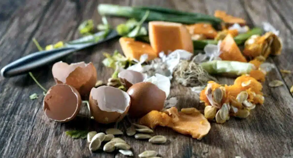 Brain Food : కూరగాయలలో ఈ భాగాలను వృధాగా పడేస్తున్నారా..? ఇవే మీ మెదడుకి వరం...!