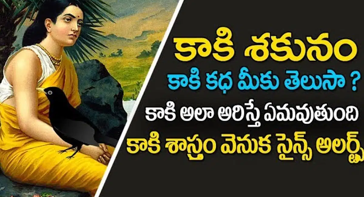 Crow Story : కాకి శకునం.. కాకి పదే పదే అరిస్తే మంచా...? చెడా...?అసలు కాకి కథ మీకు తెలుసా..?