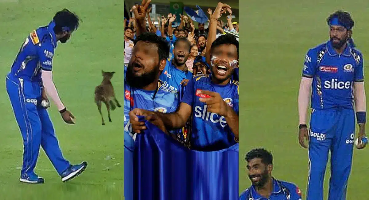 Hardik Pandya : ముంబై ఇండియన్స్ కొత్త కెప్టెన్ హార్దిక్ పాండ్యా ను ఆడేసుకున్న రోహిత్ అభిమానులు... కుక్కను చూపిస్తూ...!