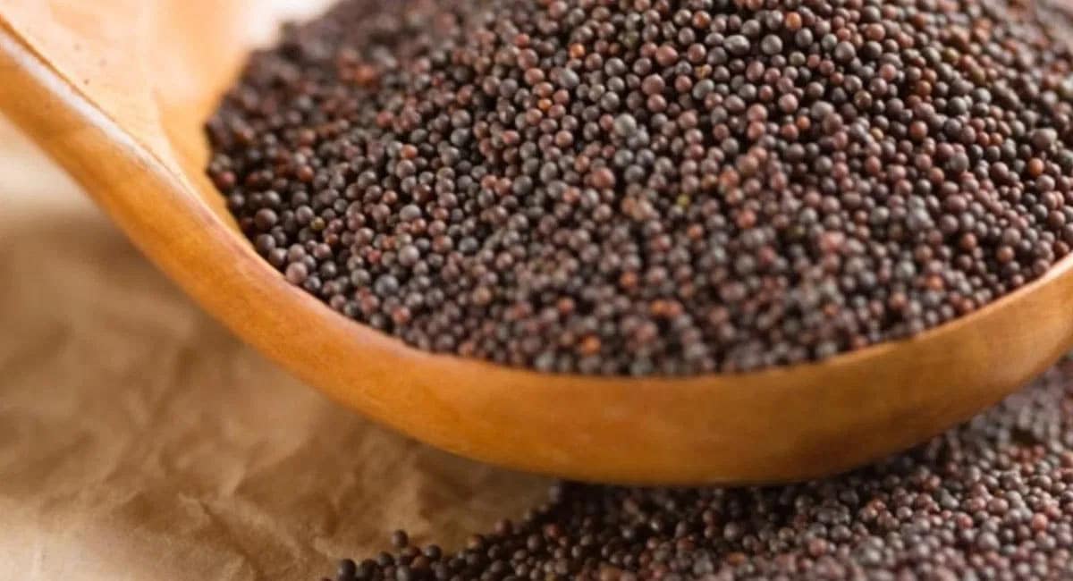Mustard చిట్టి ఆవాలతో ఇన్ని ఆరోగ్య ప్రయోజనాలా తెలిస్తే అస్సలు వదలరు