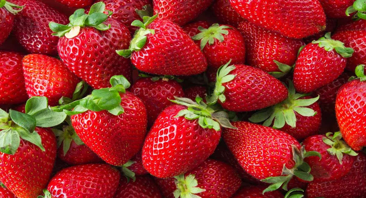 Strawberry Fruits : డయాబెటిస్ పేషెంట్స్ స్ట్రాబెర్రీస్ తింటున్నారా.? అయితే ఈ విషయాలు తెలుసుకోండి…!