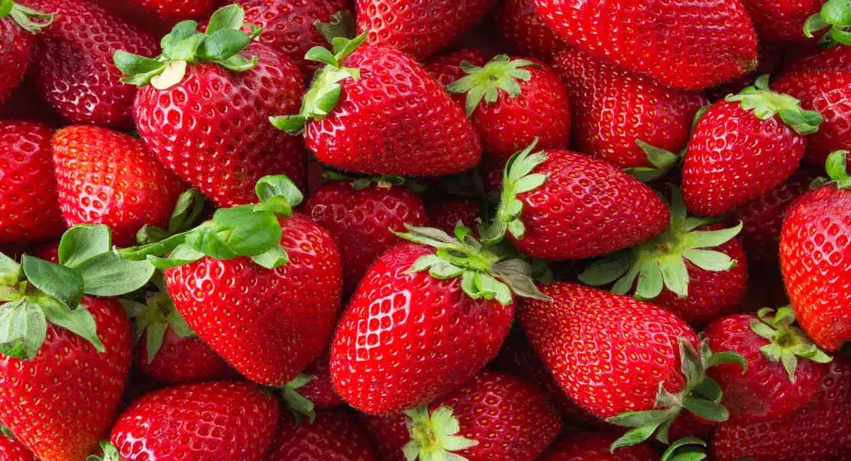 Strawberry Fruits : డయాబెటిస్ పేషెంట్స్ స్ట్రాబెర్రీస్ తింటున్నారా.? అయితే ఈ విషయాలు తెలుసుకోండి...!