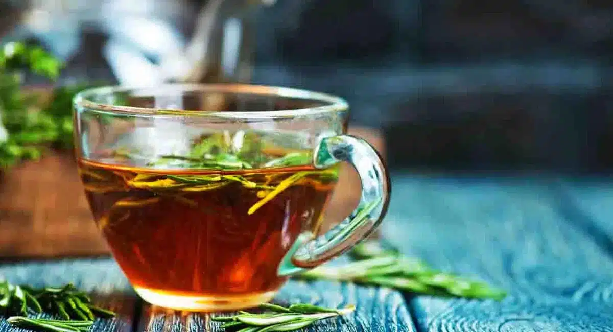 Tea : ప్రతిరోజు తాగే కాఫీ, టీ ల కంటే అమృతం లాంటి టీ..! దీనిని ఖాళీ కడుపుతో తాగండి... బెస్ట్ రిజల్ట్ చూస్తారు...!