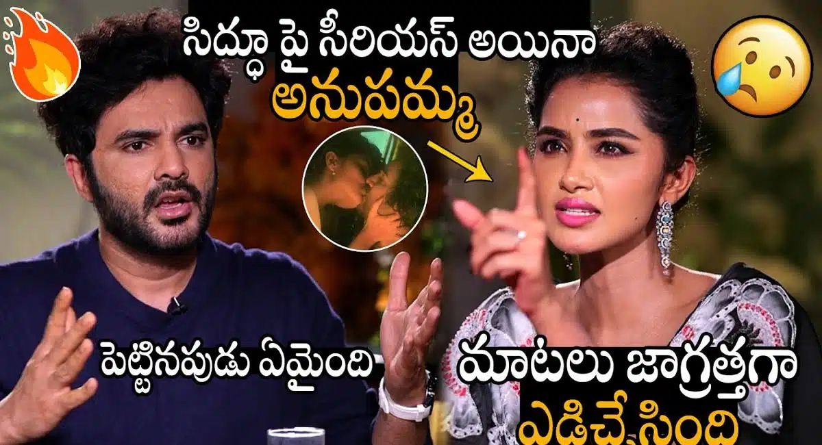 Tillu Square Movie : అనుపమ ఫ్యాన్స్ నన్ను తిడుతున్నారు... టిల్లు స్వ్కేర్ పై సిద్దు కామెంట్స్‌..!