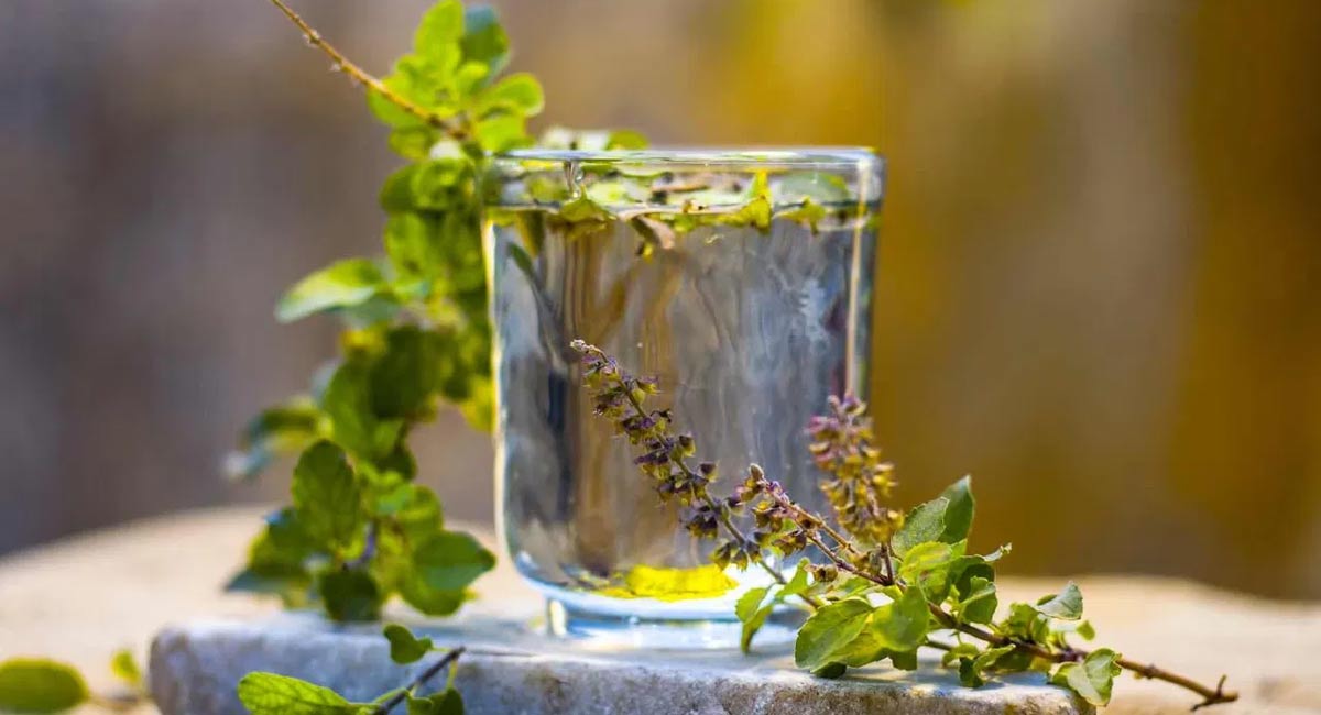 Tulsi Water : ఈ వేసవిలో తులసి నీటిని తాగితే అద్భుతమైన ప్రయోజనాలు… వెంటనే తాగడం మొదలు పెట్టండి…!