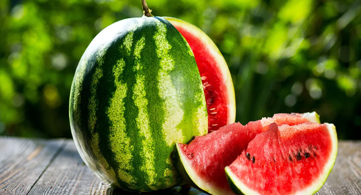 Watermelon : పుచ్చకాయను వేసవికాలంలో తప్పకుండా తీసుకోవాలి… లేదంటే ఈ సమస్యలు తప్పవు…!